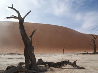Namibië - Deadvlei