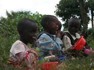Kenia - Schoolkinderen op het project