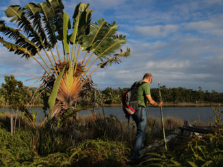 Madagaskar - wandeling in Palmarium