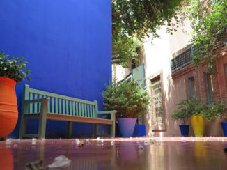 Marokko - Flower with