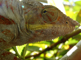 Madagaskar - Gewoon en toch bijzonder
