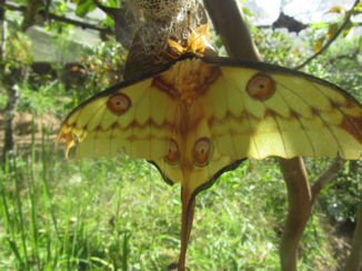 Madagaskar - Stoer toch?