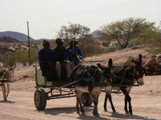 Namibië - Zo worden ook spullen vervoerd