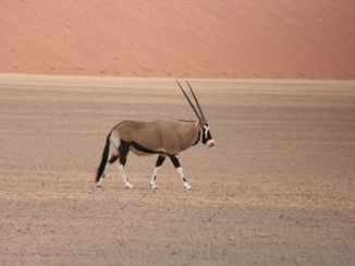 Namibië