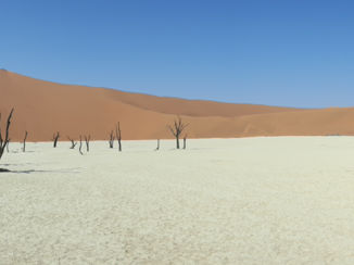 Namibië - Deatvlei
