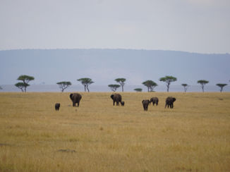 Tanzania - Prachtige lunch locatie op de grens van tanzania en kenia