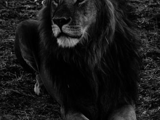 Tarangire National Park - Awesome