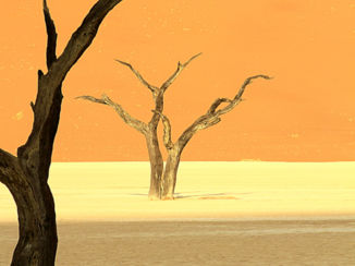 Namibië - Namibië Soussusvlei