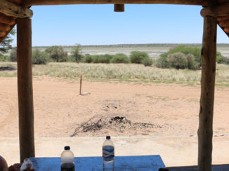 Botswana - Hier zaten wij toen de leeuwin voorbij kwam