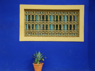 Marrakesh - La gardin
