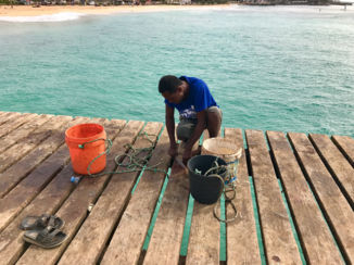 Sal - Fisherman on the pier