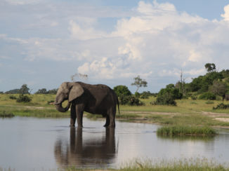 Botswana - Liters drinken !