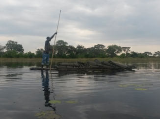 Riksja Namibië & Botswana - Okavango delta