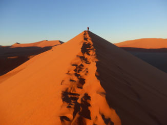Namibië - Dune 45