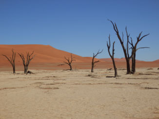 Namibië - Deadvlei