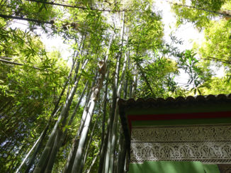 Marokko - Tuin Marrakech