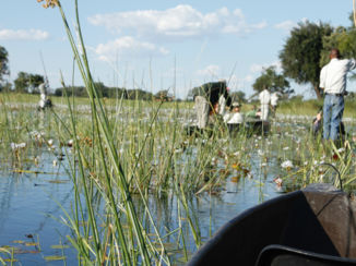 Okavango Delta
