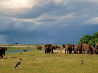Chobe National Park - Chobe River