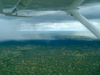 Chobe National Park - Zicht op de Okavanga Delta met een regenbui voor ons, vanuit een Cessna genomen