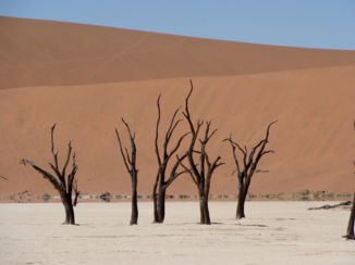 Namibië - Death Valley