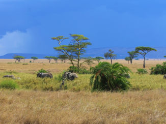Tanzania