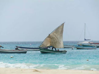 Sal - Locale vis vangers