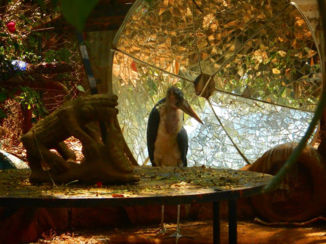 Nairobi - The beast in a beautiful surrounding