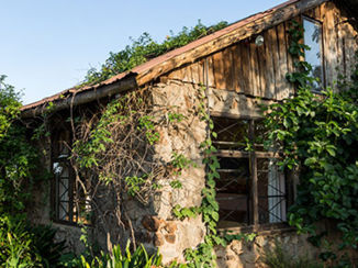 Nairobi - Logies naast het  park : Silole