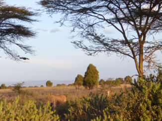 Nairobi - Om elke hoek een ander landschap