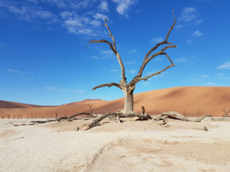 Riksja Namibië & Botswana - Sossusvlei