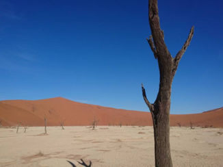 Namibië - Dead vlei