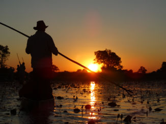 Okavango Delta - Life is better in a mokoro