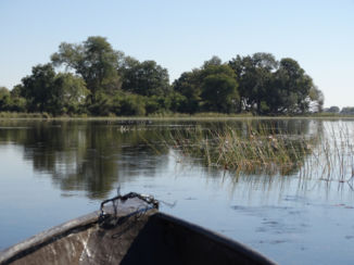 Okavango Delta - The sound of silence