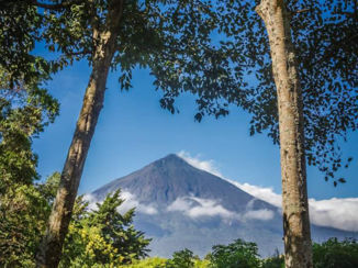 Oeganda - Mooie natuur in Zuid Oeganda