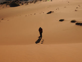 Namibië - Deathvlei