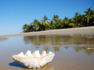 Mozambique