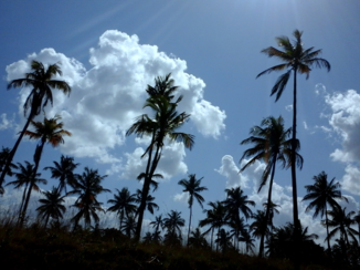 Mozambique