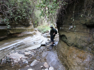 Kenia - Canyon hike, Hells gate National park