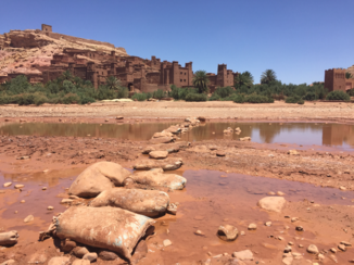 Marokko - Quarzazate