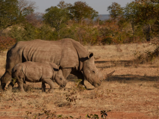 Serengeti National Park