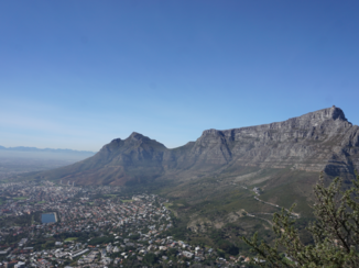 Moremi Game Reserve - Capetown - Table Mountain