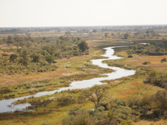 Moremi Game Reserve - Moremi Game Reserve - Helicopter