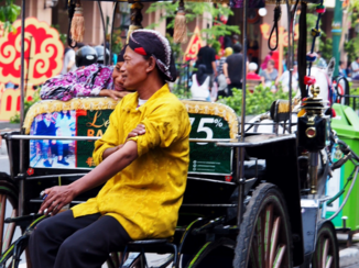 333travel - Jogya
