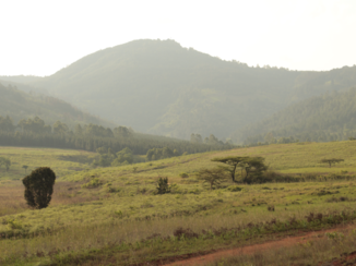 eSwatini (voorheen Swaziland)