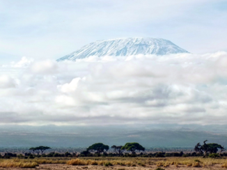 Kenia - Kilimanjaro
