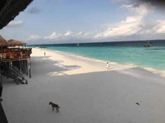 Tanzania - Zanzibar