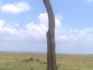 Kenia - Siësta tijd.