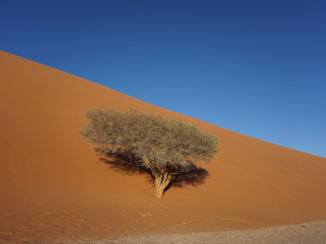 Spitzkoppe - Sossusvlei