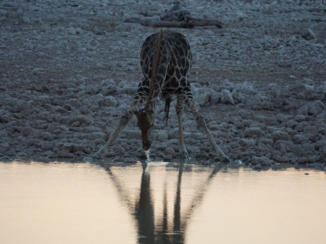 Spitzkoppe - Botswana