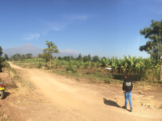 Tanzania - Kilimanjaro